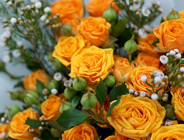Bouquet of orange spray roses "Sunset Drops" photo