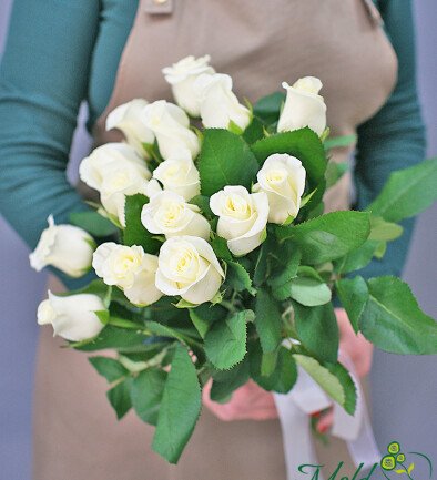 15 white roses 40 cm photo 394x433
