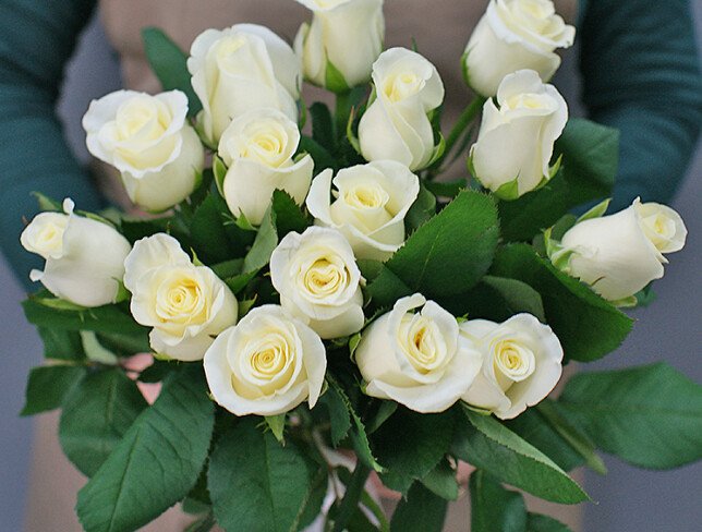 15 white roses 40 cm photo
