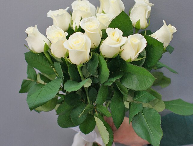 15 white roses 40 cm photo