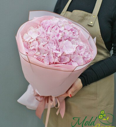 Bouquet of 3 pink hydrangeas photo 394x433