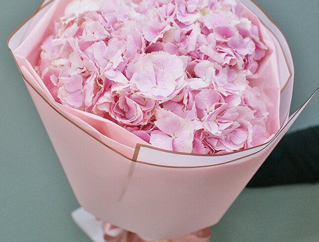 Bouquet of 3 pink hydrangeas photo