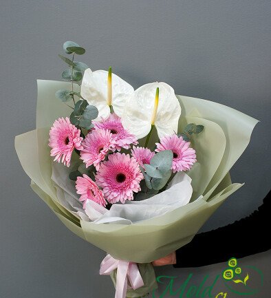 Buchet de gerbere roz si anthurium „Raza de feminitate” foto 394x433