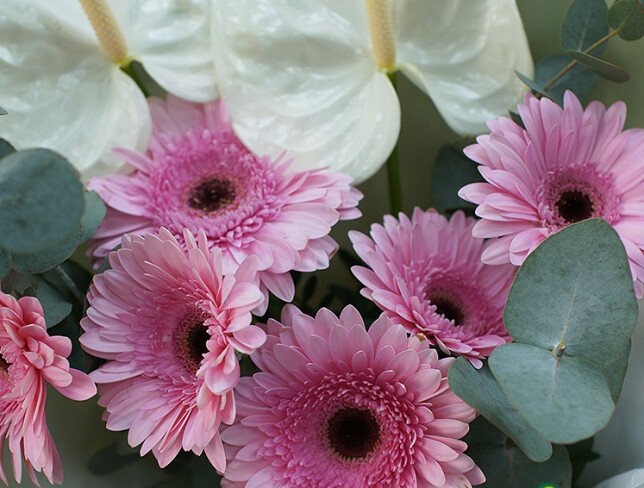 Buchet de gerbere roz si anthurium „Raza de feminitate” foto