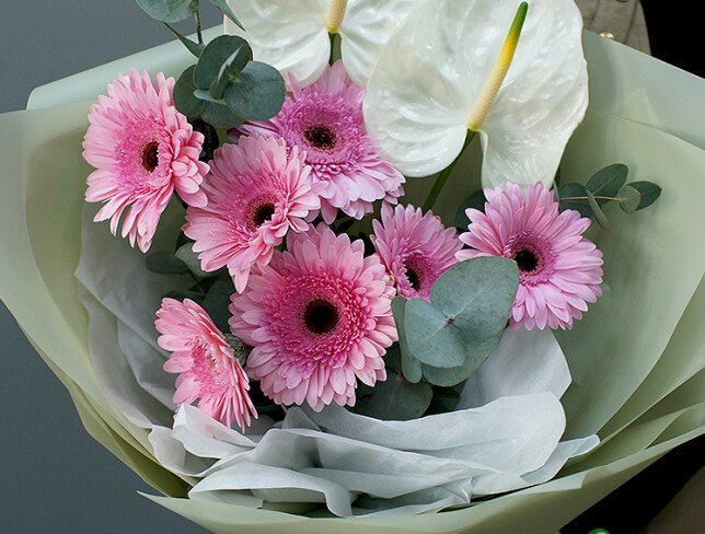 Buchet de gerbere roz si anthurium „Raza de feminitate” foto
