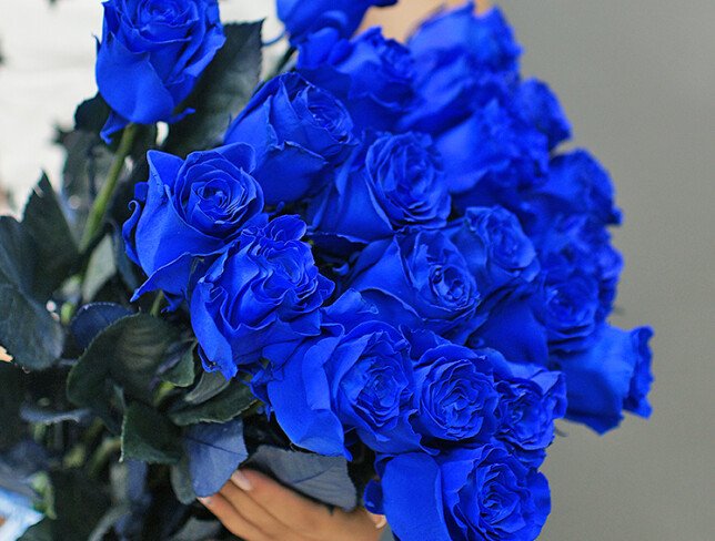 Blue Rose (pre-order, 20 days) photo