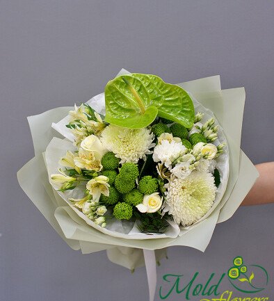 Bouquet of chrysanthemums and green anthurium photo 394x433