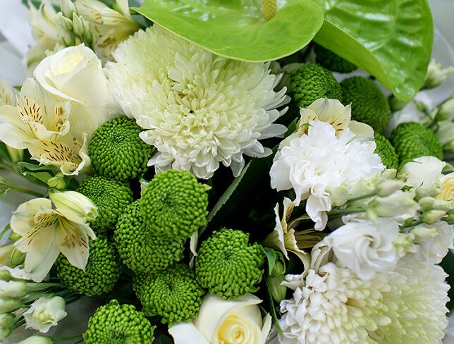 Bouquet of chrysanthemums and green anthurium photo
