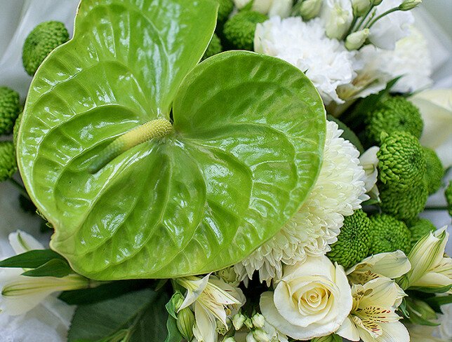 Bouquet of chrysanthemums and green anthurium photo
