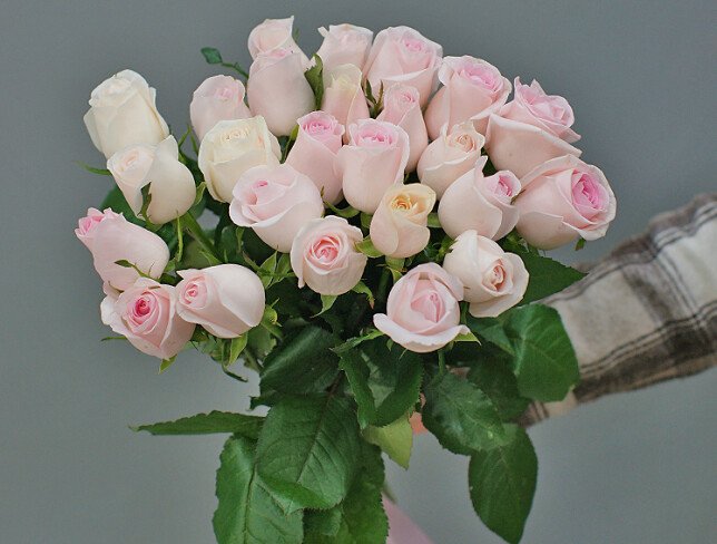 Bouquet of 25 pale pink roses 50 cm photo