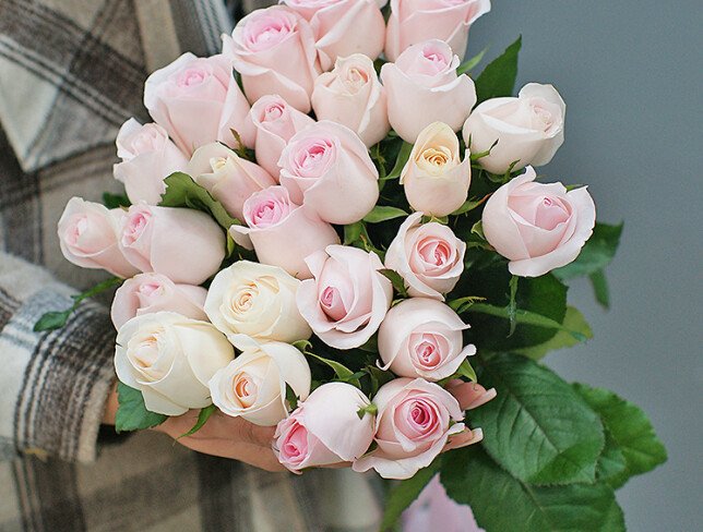 Bouquet of 25 pale pink roses 50 cm photo