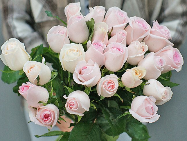 Bouquet of 25 pale pink roses 50 cm photo
