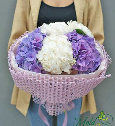 Bouquet of white and purple hydrangeas "A Moment of Tenderness" photo 394x433