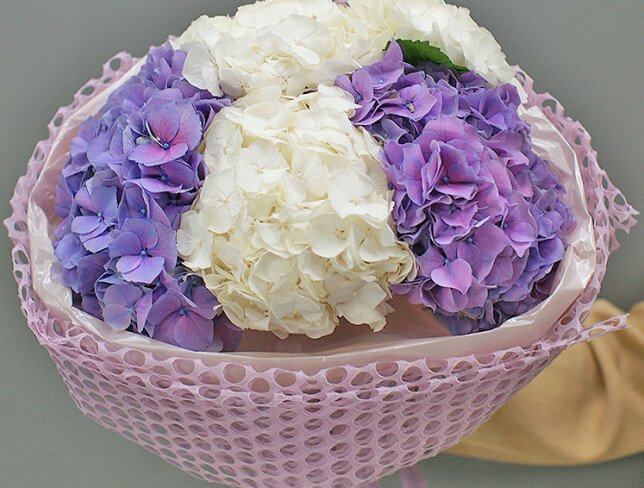 Bouquet of white and purple hydrangeas "A Moment of Tenderness" photo