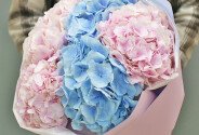 Bouquet of pink  and blue hydrangeas “Tenderness” — photo 1
