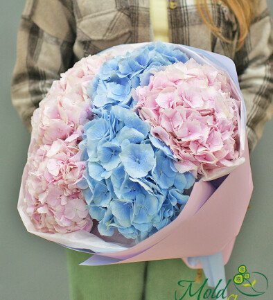 Bouquet of pink  and blue hydrangeas “Tenderness” photo 394x433