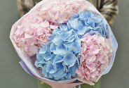 Bouquet of pink  and blue hydrangeas “Tenderness” — photo 2