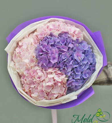 Bouquet of pink and purple hydrangeas photo 394x433