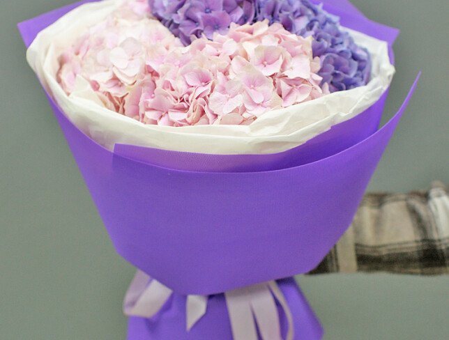 Bouquet of pink and purple hydrangeas photo