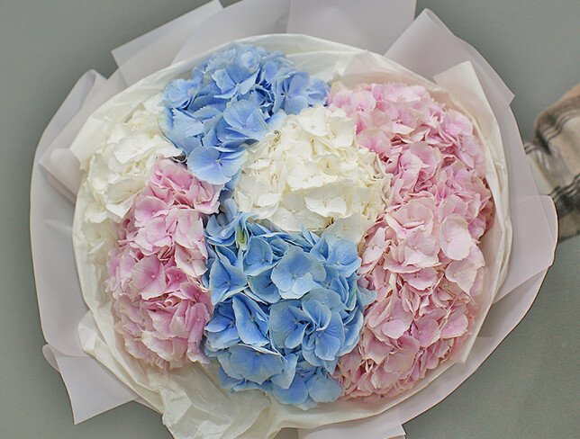 Bouquet of 7 hydrangeas "Velvet Rainbow" photo