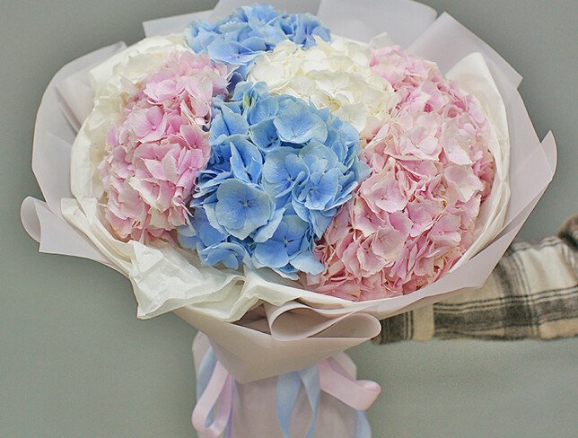 Bouquet of 7 hydrangeas "Velvet Rainbow" photo