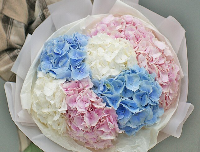 Bouquet of 7 hydrangeas "Velvet Rainbow" photo
