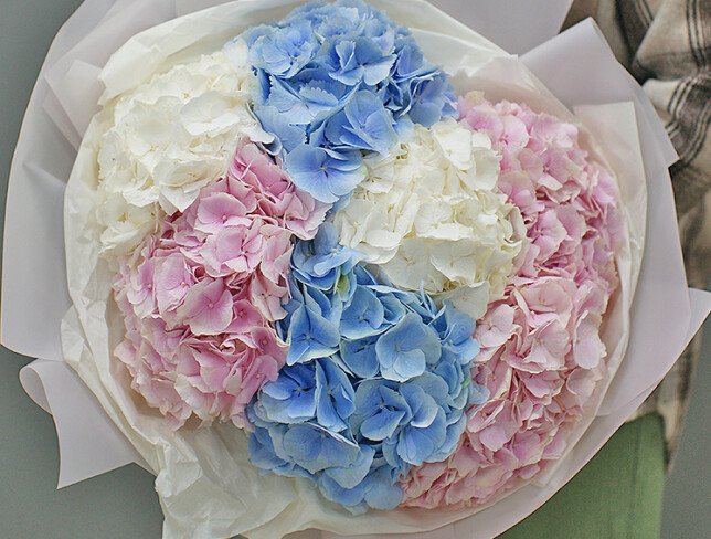Bouquet of 7 hydrangeas "Velvet Rainbow" photo