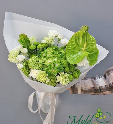 Bouquet with green hydrangea and anthurium “Emerald Dawn”