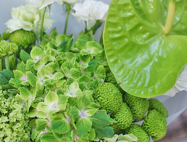 Bouquet with green hydrangea and anthurium “Emerald Dawn” — photo 2