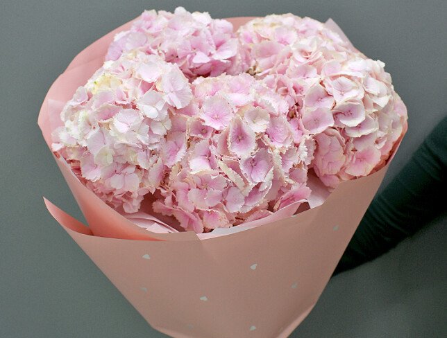 Buchet din 5 hortensii roz foto