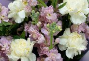 Bouquet of pink matthiola and dianthus — photo 3