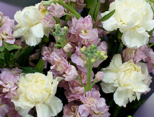 Bouquet of pink matthiola and dianthus photo