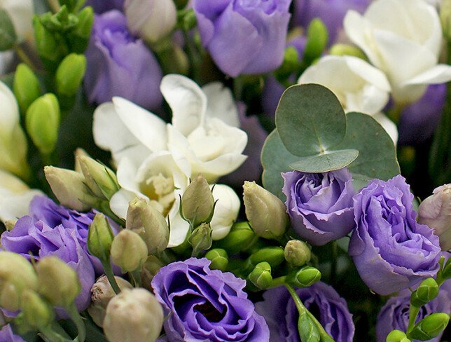 Bouquet of purple lisianthus and white freesias photo