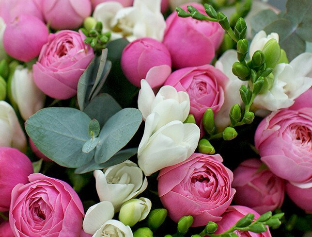 Buchet din frezii albe si trandafiri de tip bujor Silva Pink foto