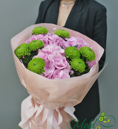 Bouquet of pink hydrangeas and green chrysanthemums