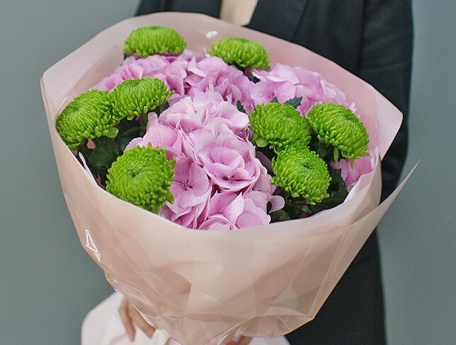 Bouquet of pink hydrangeas and green chrysanthemums