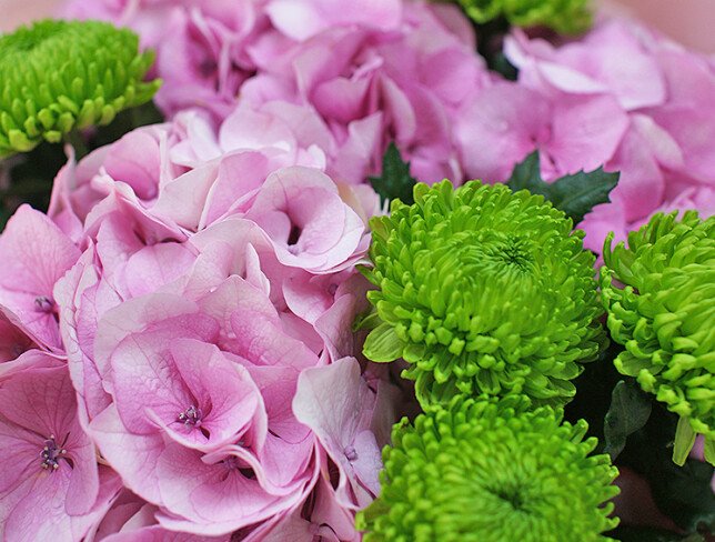 Bouquet of pink hydrangeas and green chrysanthemums — photo 2