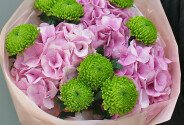 Bouquet of pink hydrangeas and green chrysanthemums — photo 3