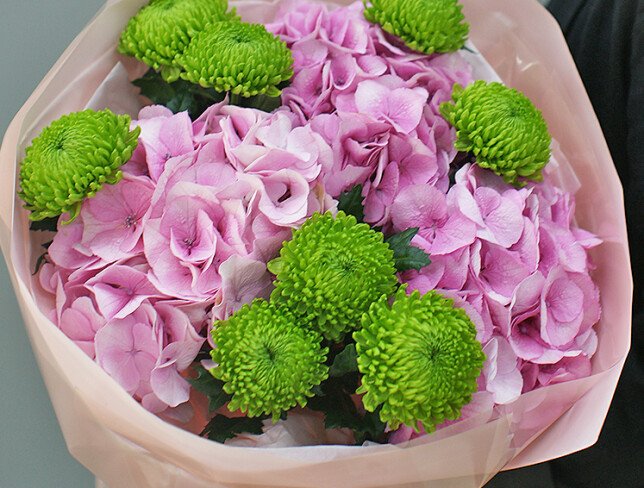 Bouquet of pink hydrangeas and green chrysanthemums — photo 3