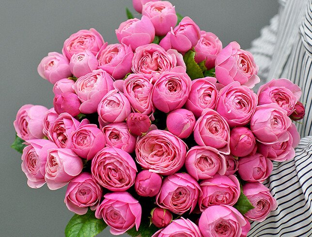 Silvia Pink PREMIUM Rose, 40 cm / 1 Branch photo