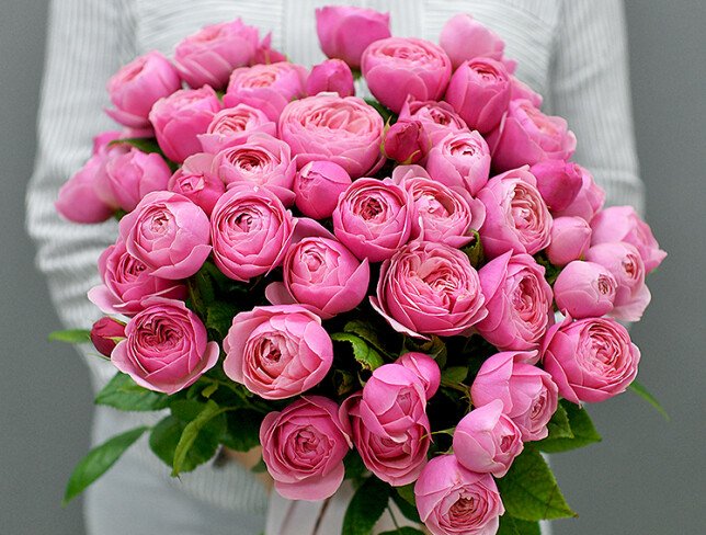 Silvia Pink PREMIUM Rose, 40 cm / 1 Branch photo