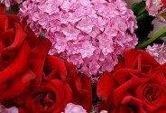 Buchet cu hortensie roz si trandafiri rosii — foto 2
