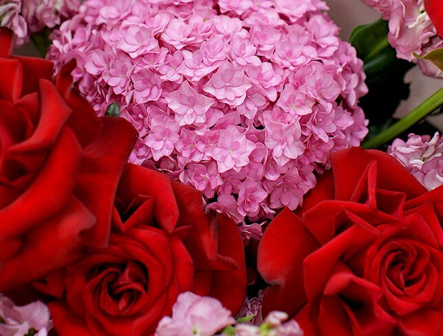 Buchet cu hortensie roz si trandafiri rosii foto