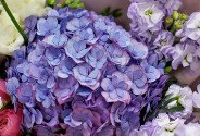 Buchet din hortensie mov si frezii albe „Luna” — foto 2