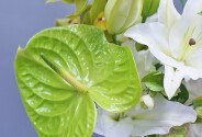 Buchet „Eleganta tropicala” — foto 4
