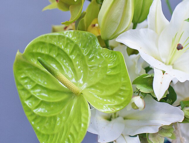 Buchet „Eleganta tropicala” foto