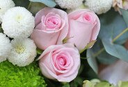 Bouquet of pink roses and chrysanthemums "Morning Tenderness" — photo 2