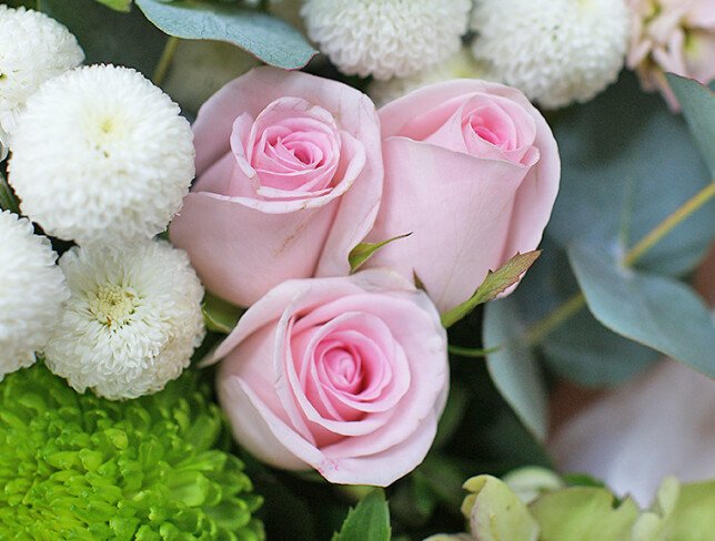 Bouquet of pink roses and chrysanthemums "Morning Tenderness" — photo 2