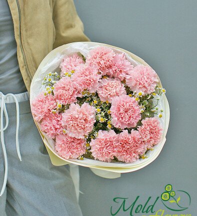 Buchet cu dianthuse roz si romanite foto 394x433