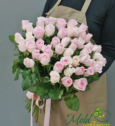 51 trandafiri roz pal 50 cm